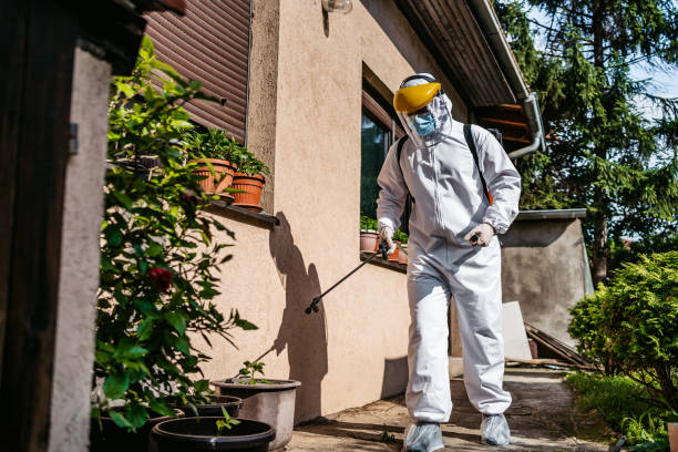 Wasp Removal Services in Pinehurst, TX