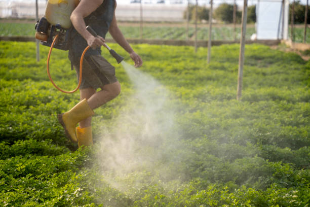 Best Affordable Exterminators  in Pinehurst, TX